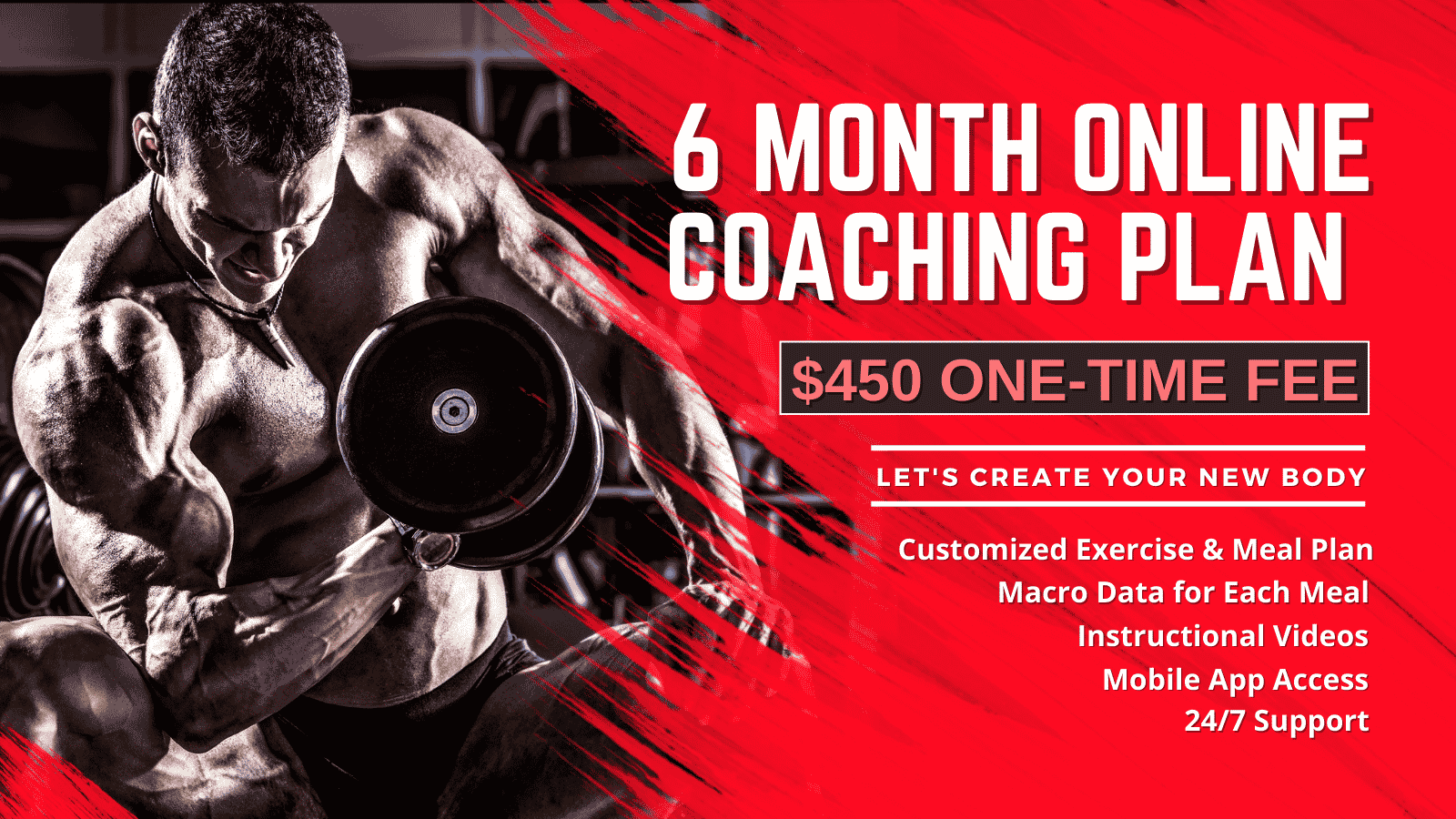 6 Month Online Fitness Coaching